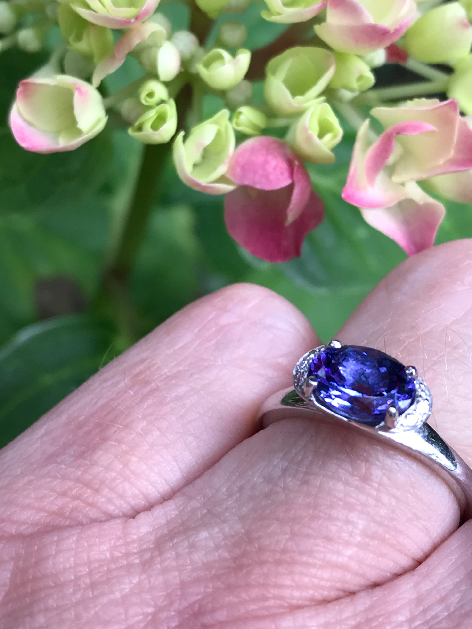 18ct white gold oval tanzanite and diamond ring Ring Christopher Wharton   