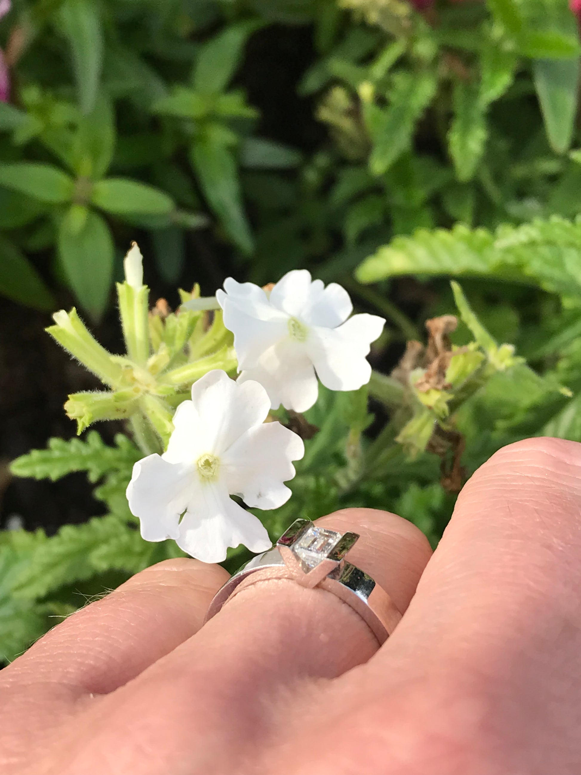 Platinum 0.36ct emerald cut diamond ring Ring Rock Lobster   