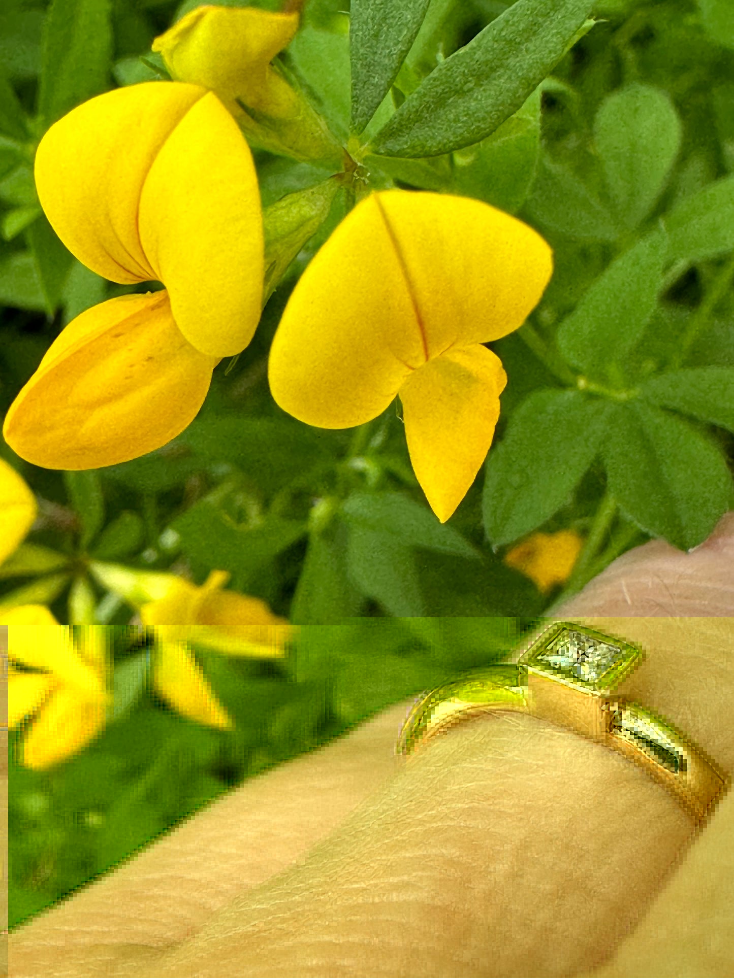 18ct yellow gold 0.15ct princess cut diamond ring Ring Jeremy Hoye   