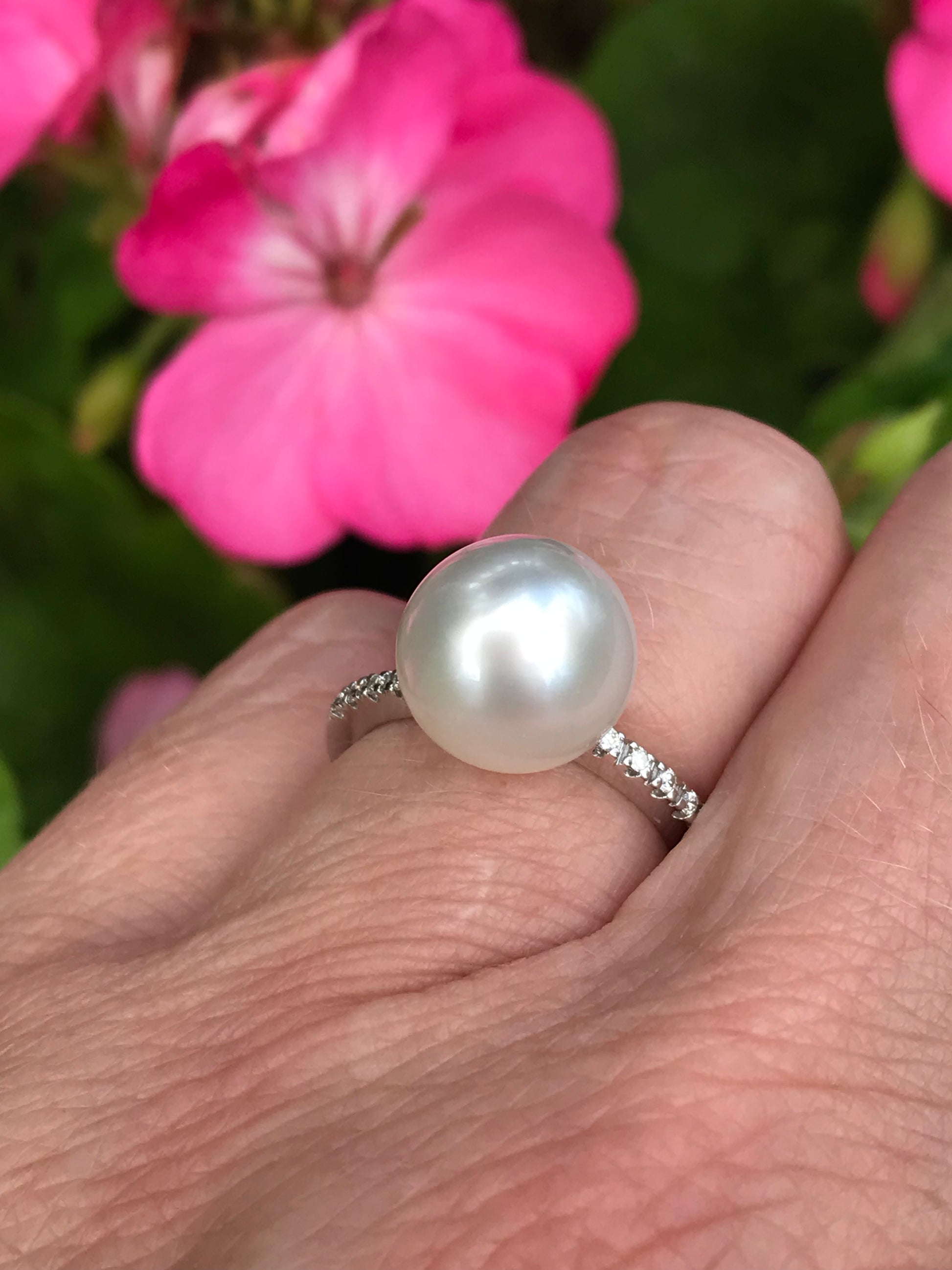 18ct white gold white southsea pearl ring with diamond shoulders Ring Rock Lobster   