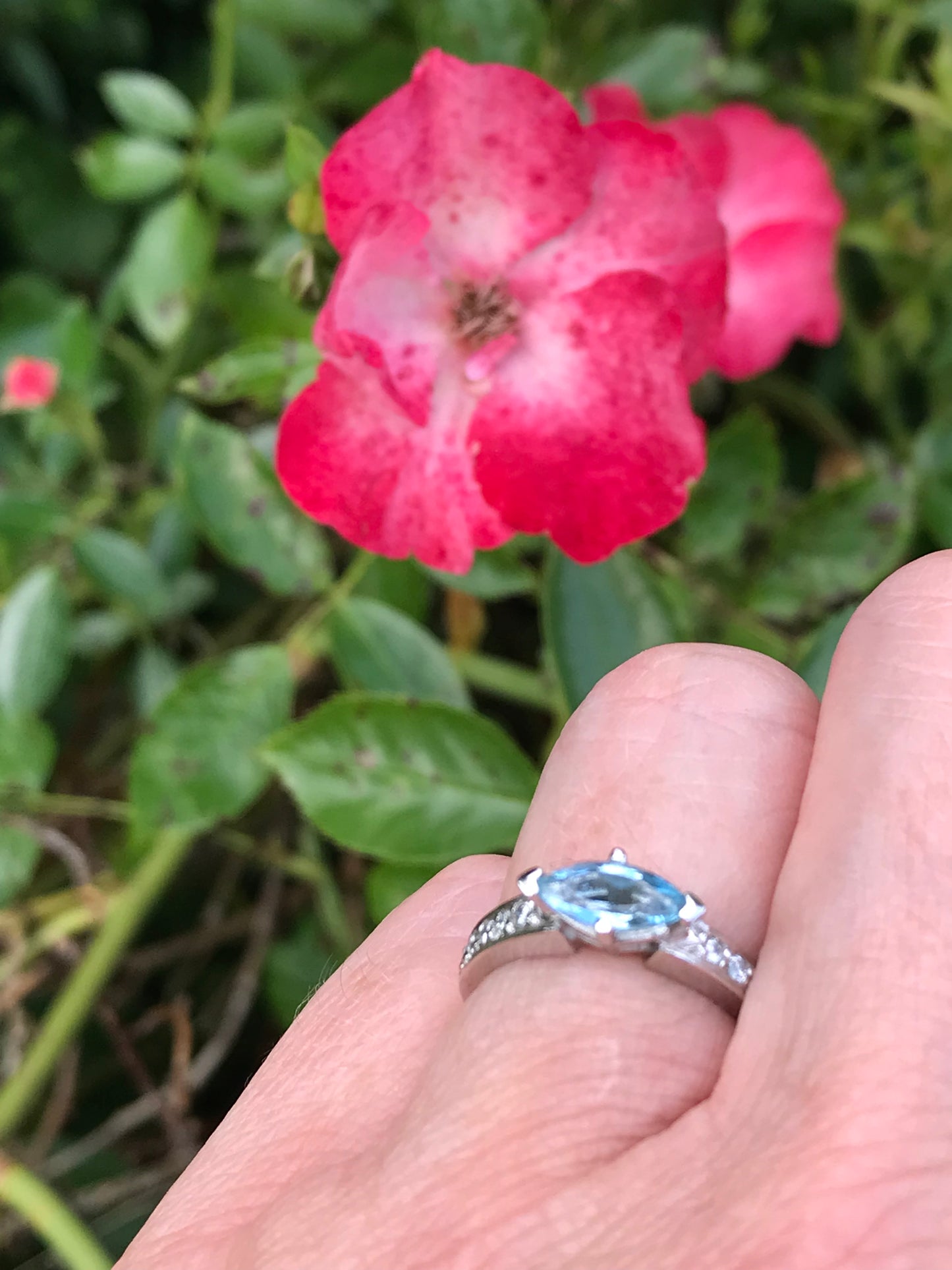 Platinum marquise Aquamarine and diamond ring Ring Rock Lobster   