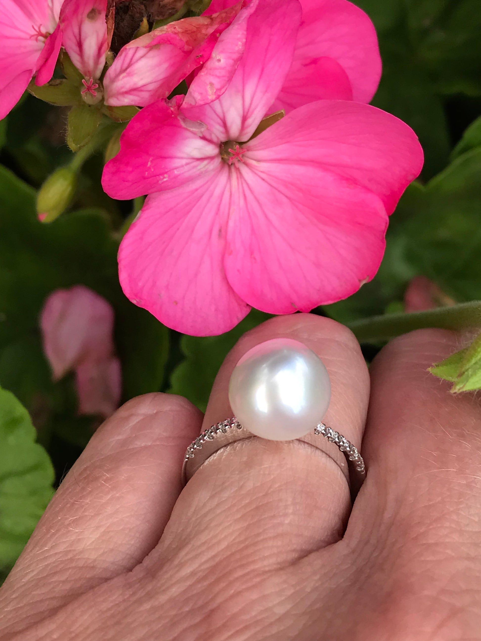 18ct white gold white southsea pearl ring with diamond shoulders Ring Rock Lobster   